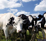 informat_1550798755811