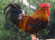 informat_1550798887692