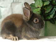 informat_1550798970676 informat_1550798970676