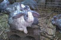 informat_1550799033023 informat_1550799033023