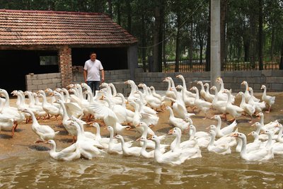 informat_1550799095739