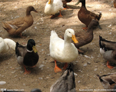 informat_1550799299058 informat_1550799299058