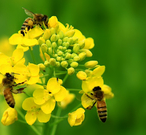 informat_1550799374054