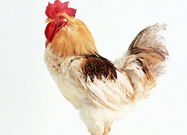 informat_1550799558109 informat_1550799558109