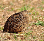 informat_1550799712628 informat_1550799712628