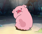 informat_1550799769858