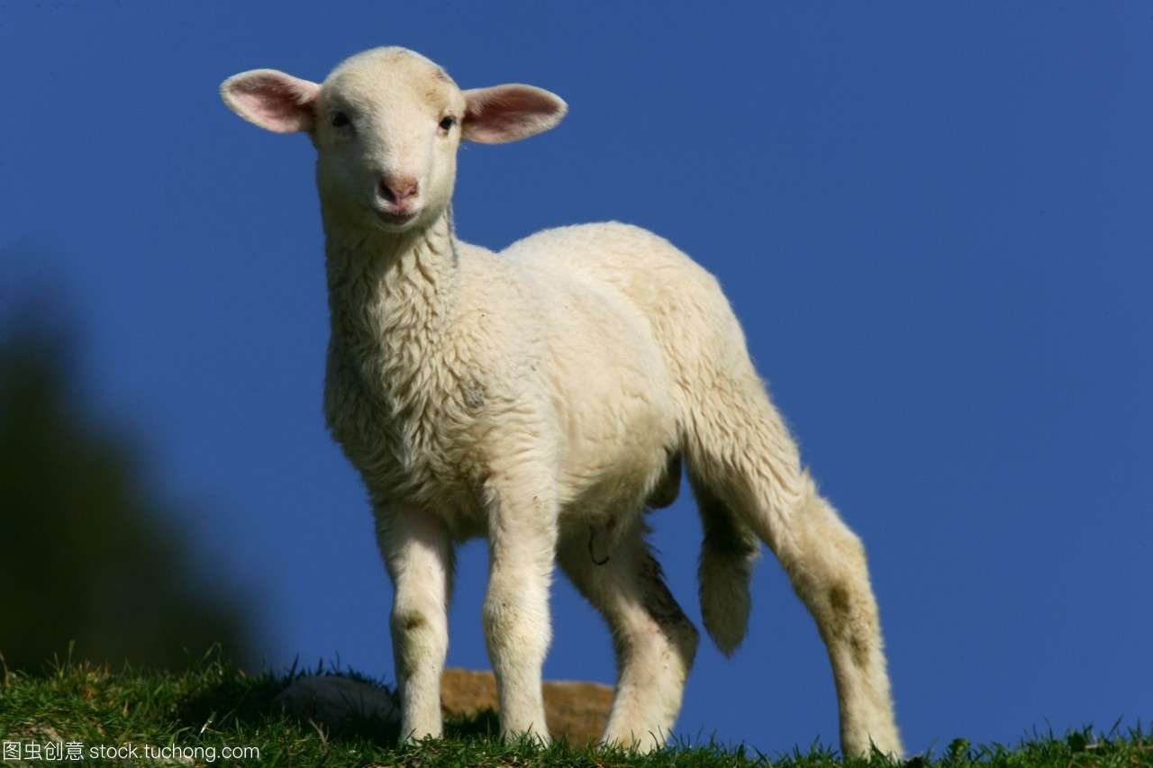 informat_1550800041162