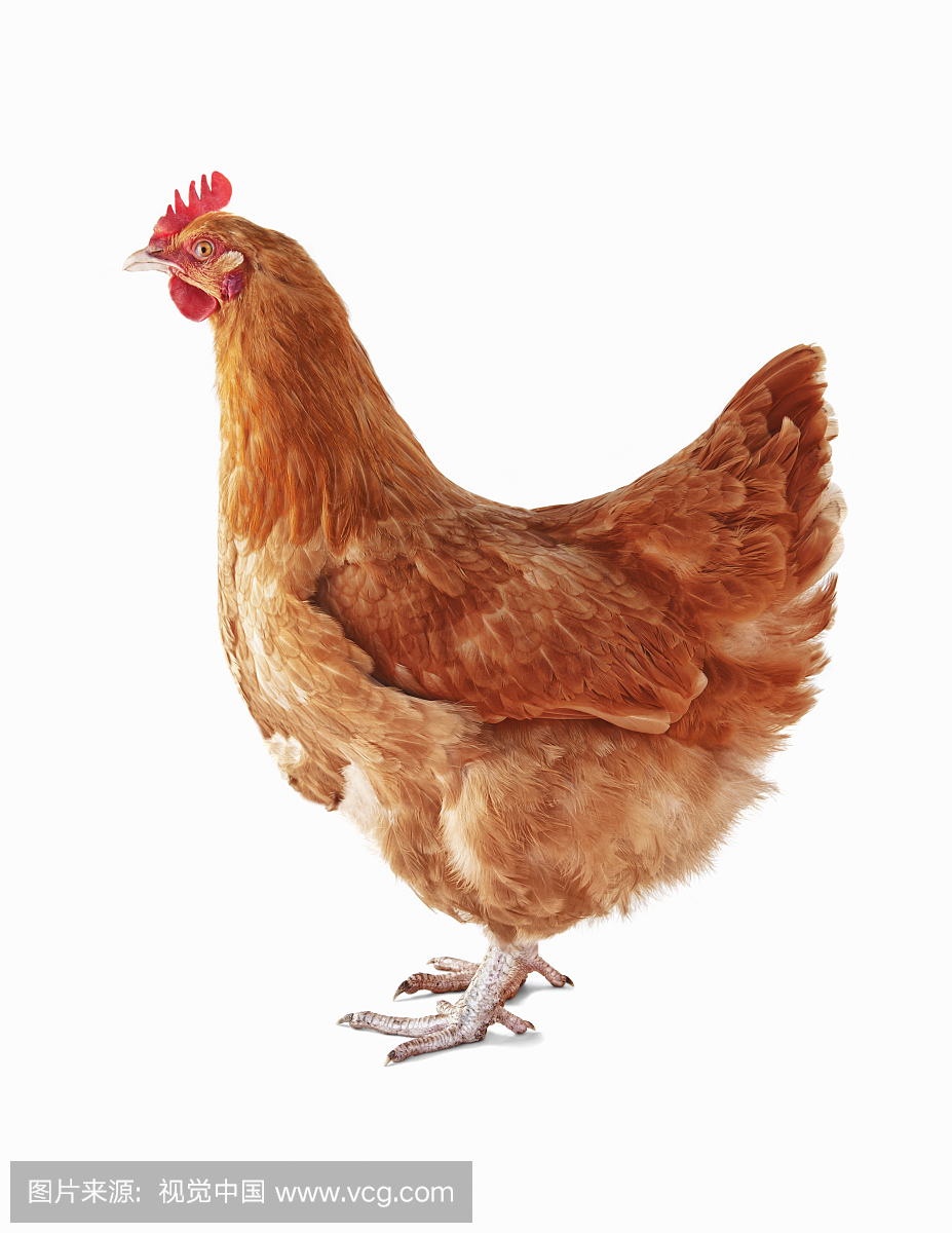 informat_1550800370269