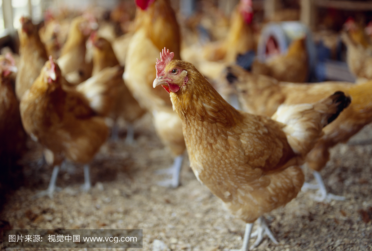 informat_1550800655839 informat_1550800655839