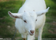 informat_1550800797857