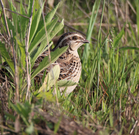 informat_1550800994647