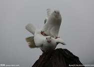 informat_1550801069920 informat_1550801069920