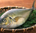 informat_1550801234022 informat_1550801234022