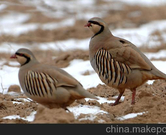 informat_1550801284421