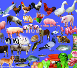 informat_1551061054401