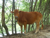 informat_1551063063933 informat_1551063063933