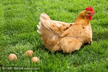 informat_1551064598485