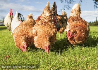 informat_1551064677039 informat_1551064677039