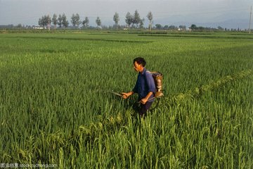 informat_1551064831674