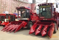 informat_1551065358709 informat_1551065358709