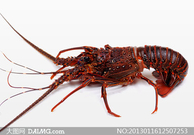 informat_1551078272205