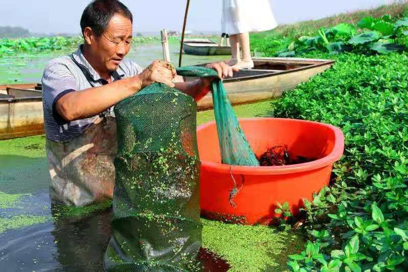 informat_1551078381989 informat_1551078381989