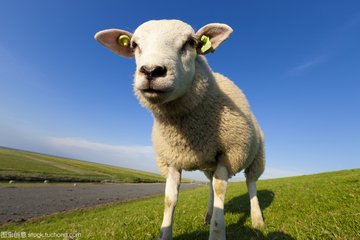 informat_1551079206705