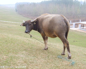 informat_1551079311148