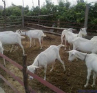 informat_1551079375052