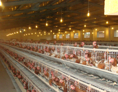 informat_1551079522141 informat_1551079522141