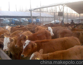 informat_1551080136874