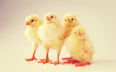 informat_1551080262318 informat_1551080262318