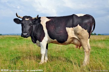 informat_1551080339635