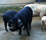 informat_1551080398793