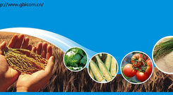 informat_1551142163940 informat_1551142163940