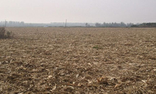 informat_1551142538806