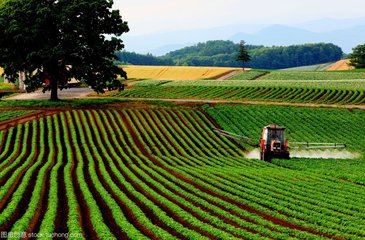 informat_1551143367139