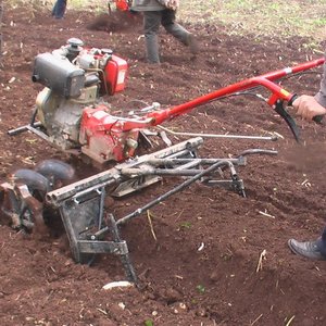 informat_1551143566500 informat_1551143566500