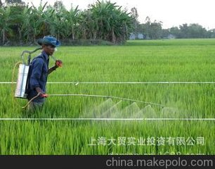 informat_1551145362492 informat_1551145362492