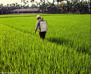 informat_1551145419899 informat_1551145419899