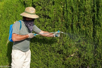 informat_1551145568766