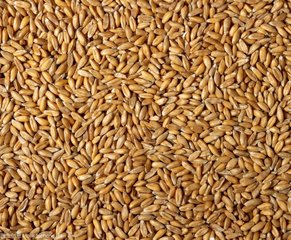 informat_1551145694822 informat_1551145694822