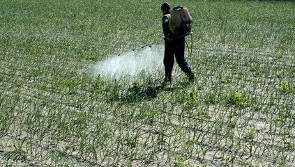 informat_1551145787851