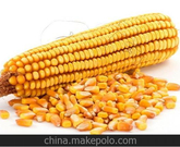 informat_1551147604600