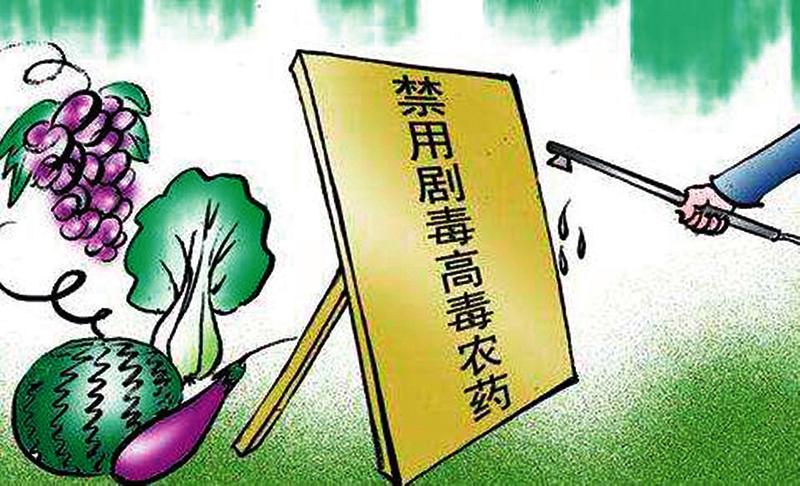 informat_1551148050873 informat_1551148050873