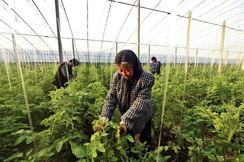 informat_1551148147893