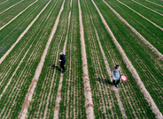 informat_1551148278836