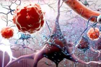 informat_1551273106178