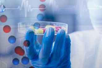 informat_1551273279996