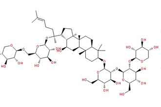 informat_1551273554898